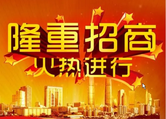 招商網站建設：連接商機、吸引投資的數字化路徑
